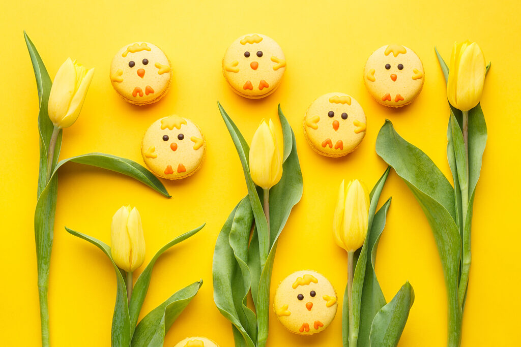 Set of Creative Easter Desserts (Chick Cookies)